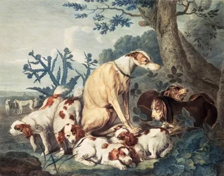 Portraits of Dogs, Engraved by Daniel Lerpiniere, Published by John and Josiah Boydell